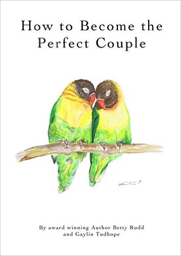 The Perfect Couple [Book]